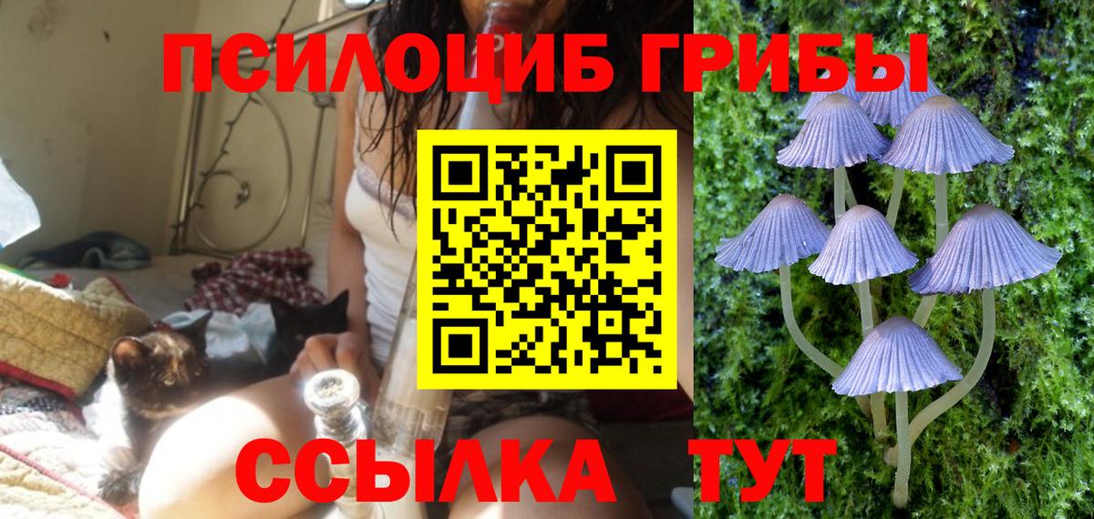 Псилоцибиновые грибы Psilocybe  Вход с VPN  Балахна  Псилоцибиновые грибы мухоморы 